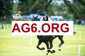 Shams：我亲眼看到了里夫斯经纪人与富保罗的对话 互相非常尊重